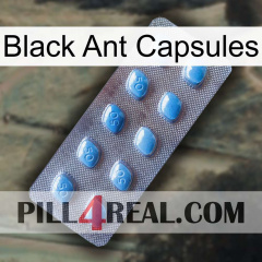 Black Ant Capsules viagra3